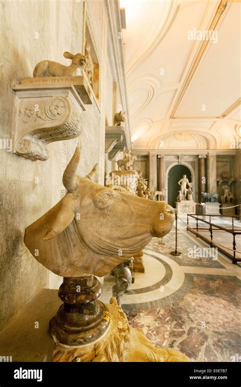national animal of vatican city|Hall of Animals .